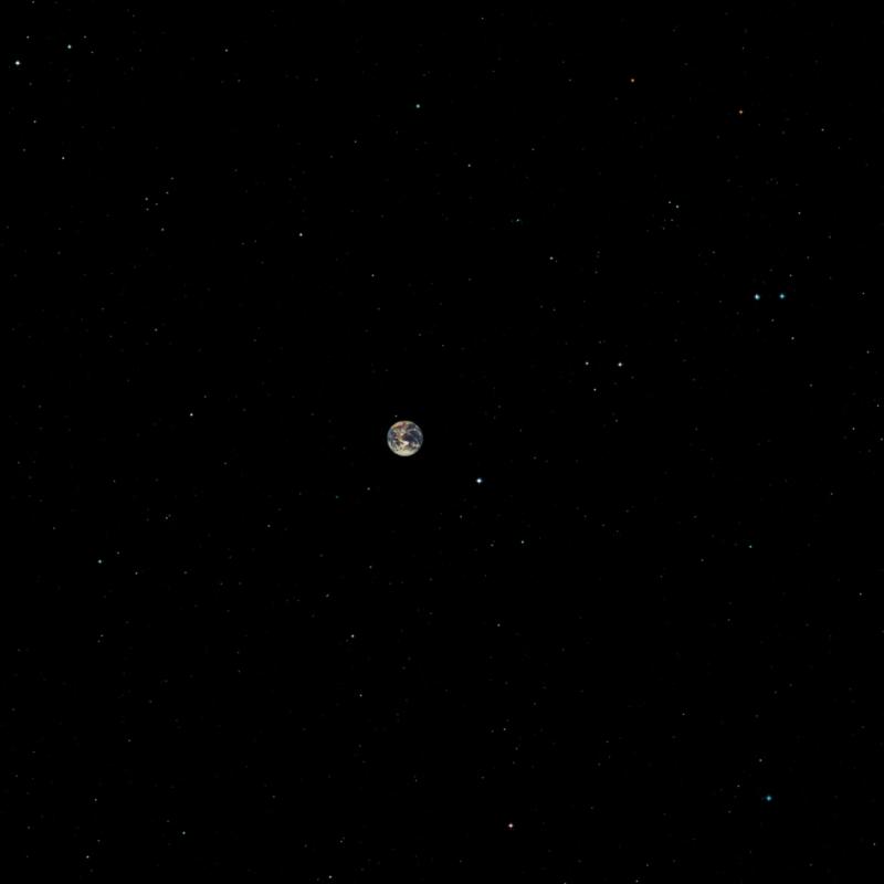 Picture of Marc Ribot's Ceramic Dog - Hope