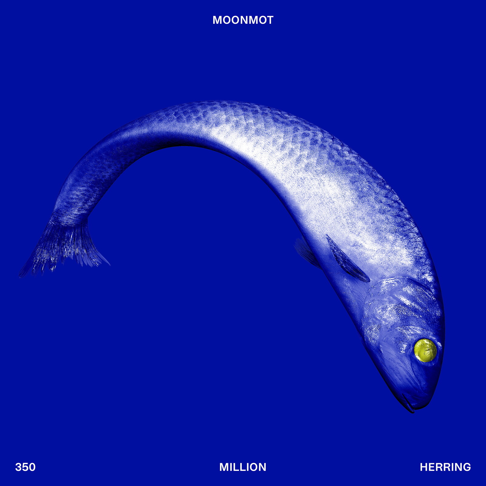 Picture of MoonMot - 350 Million Herring