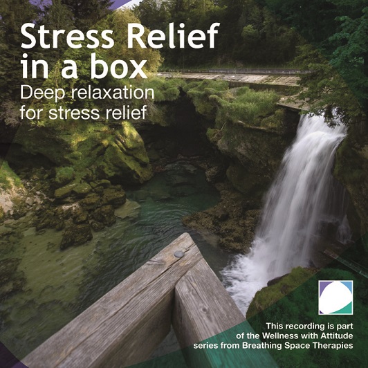 Picture of Various Artists - Zen Connection