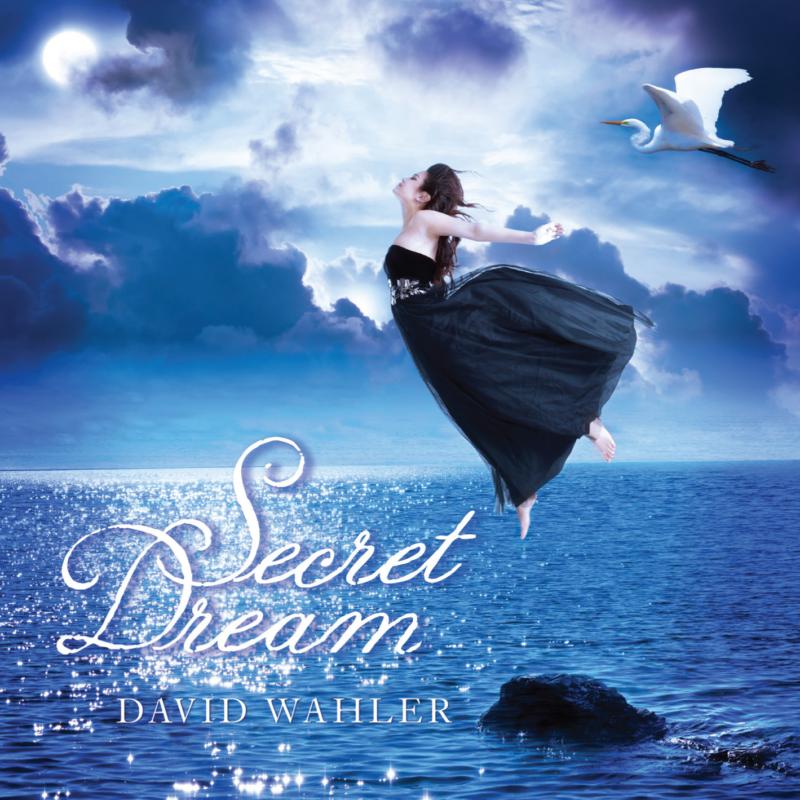 Picture of David Wahler - Secret Dream