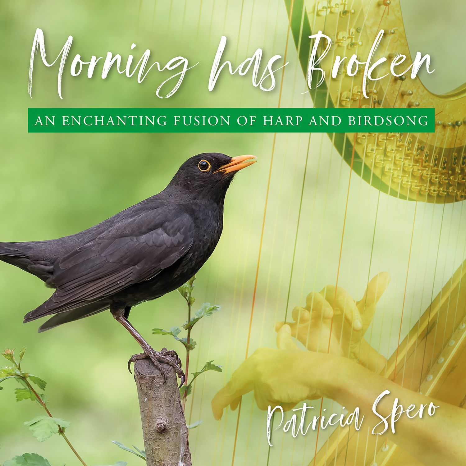 Picture of Patricia Spero - Morning Has Broken