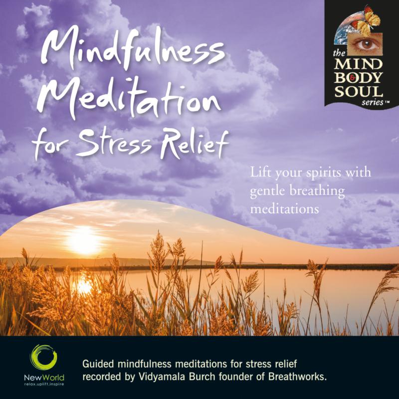 Picture of Vidyamala Burch - Mindfullness Meditation For Stress Relief