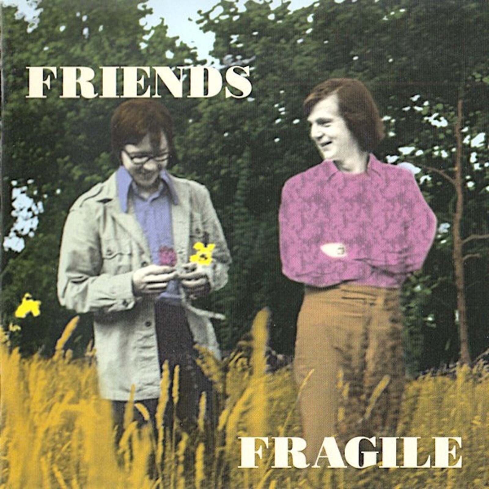 Picture of Friends - Fragile