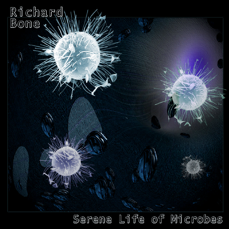 Picture of BONE,RICHARD - Serene Life of Microbes
