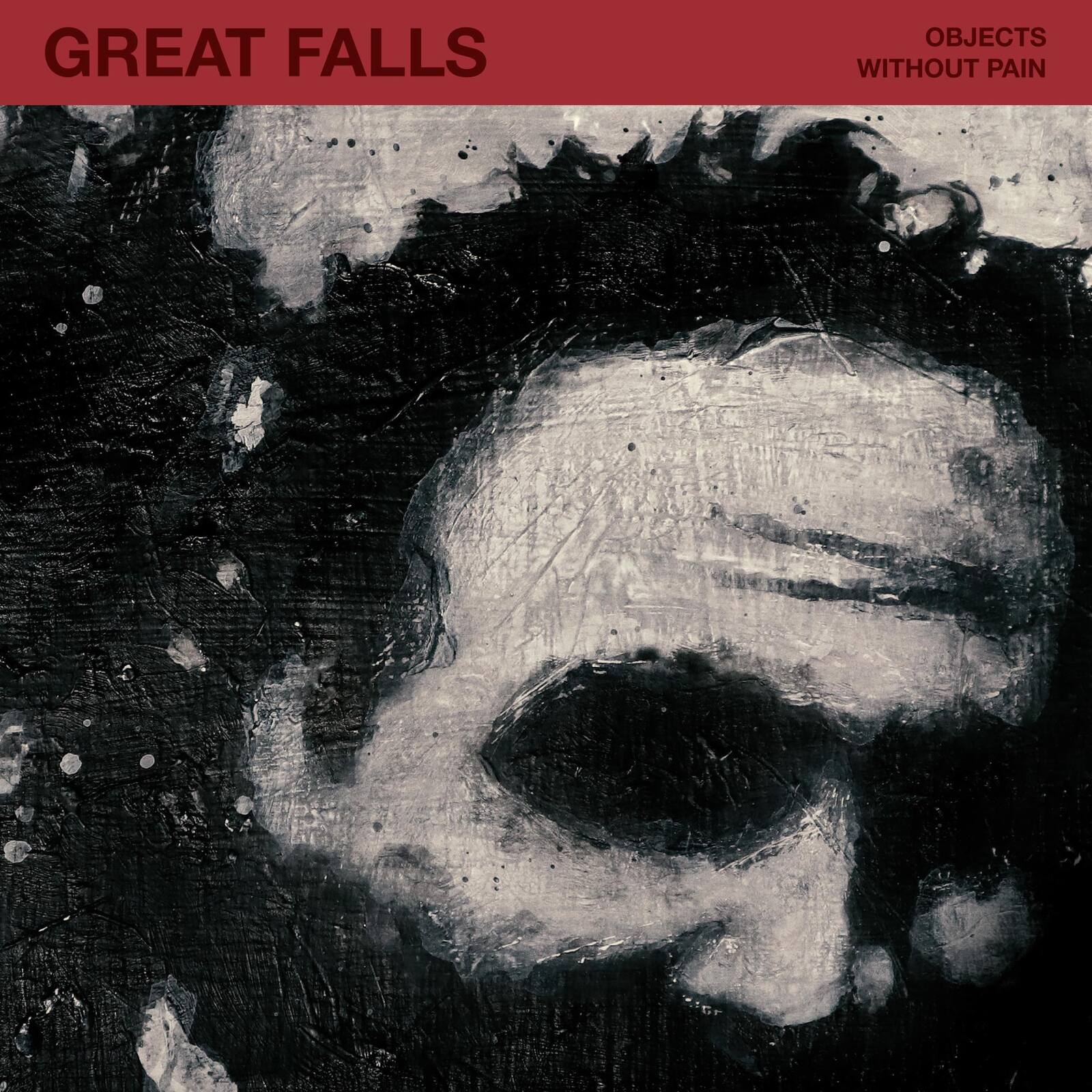 Picture of GREAT FALLS - OBJECTS WITHOUT PAIN