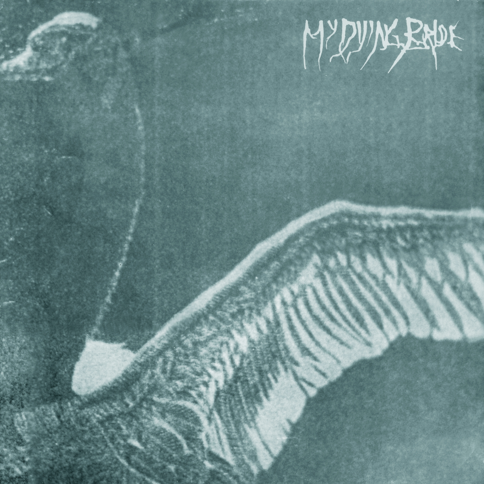 Picture of My Dying Bride - Turn Loose The Swans (30th Anniversary Marble Vinyl Edition)