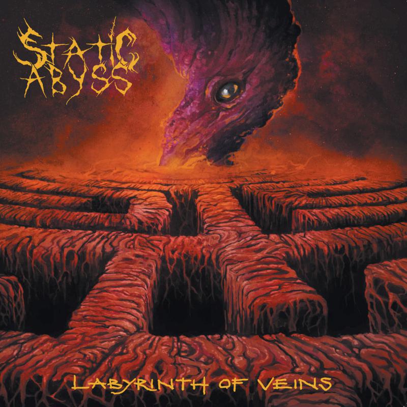 Picture of Static Abyss - Labyrinth Of Veins