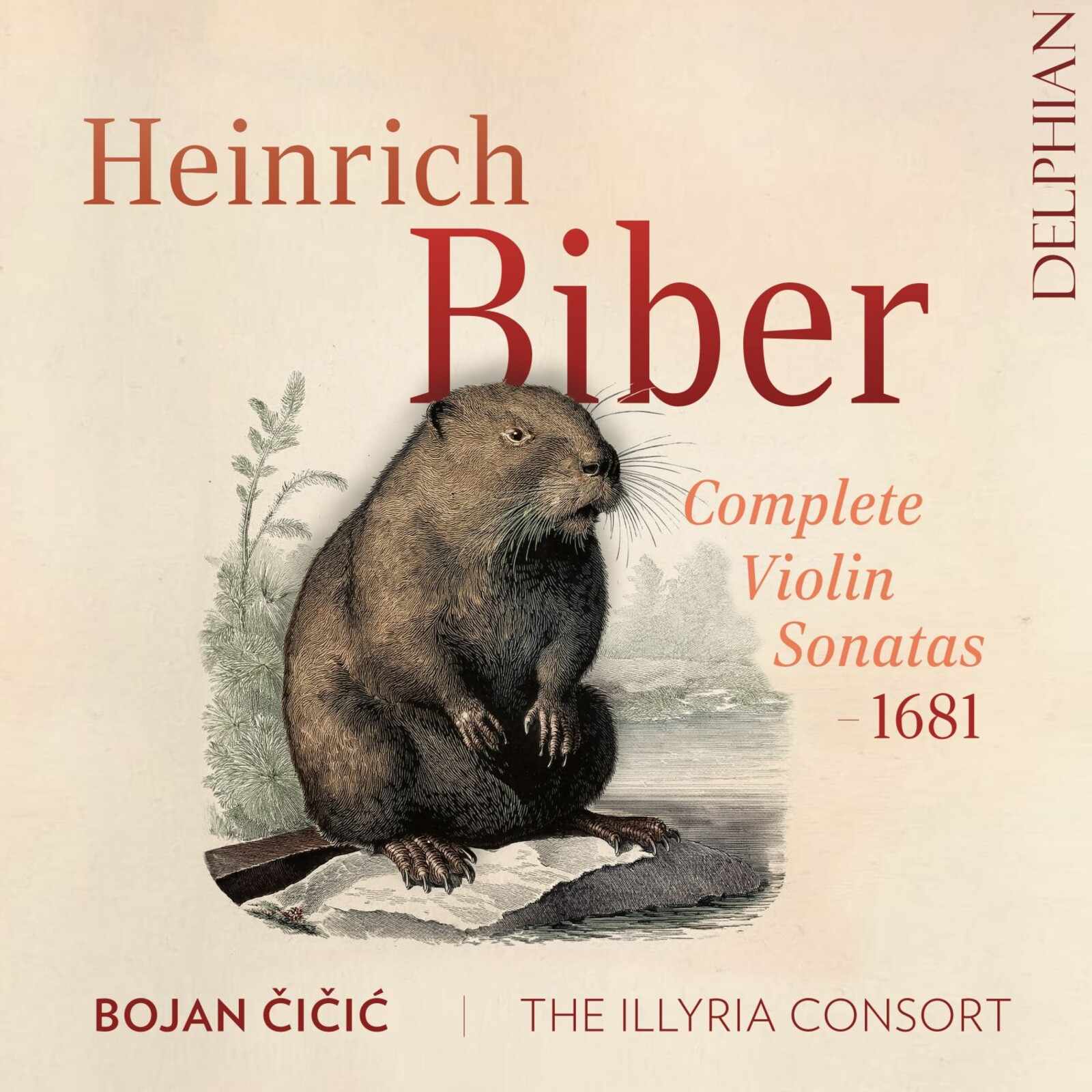Picture of Bojan Cicic | The Illyria Consort - Heinrich Biber: Complete Sonatae Violino solo, 1681