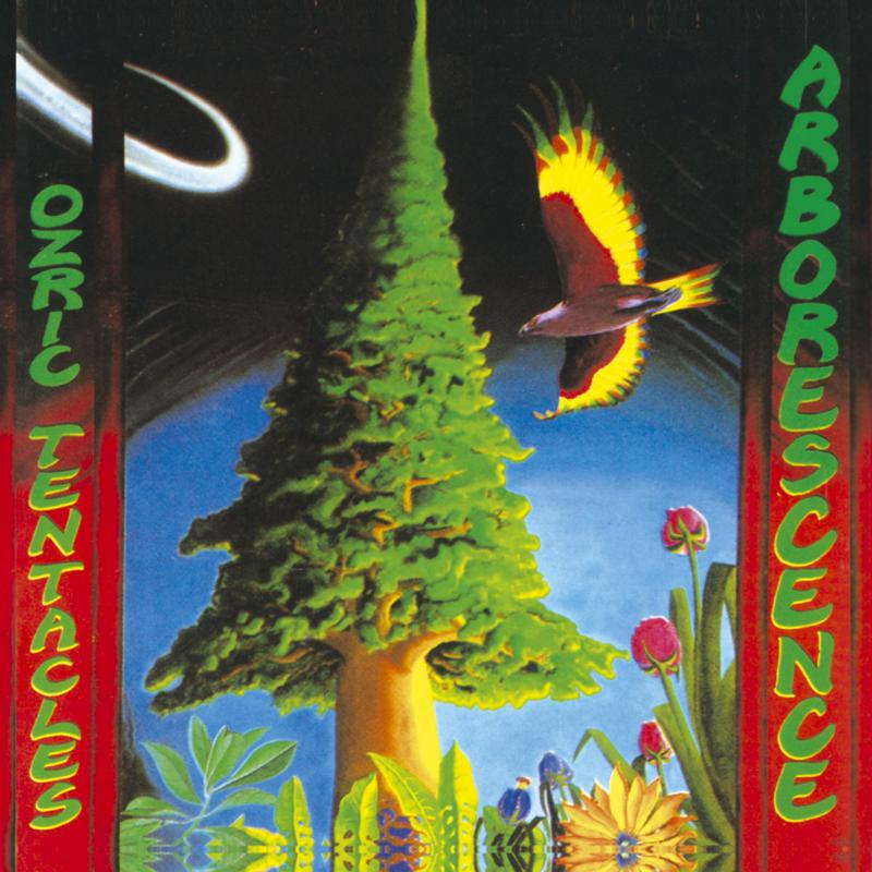 Picture of Ozric Tentacles - Arborescence
