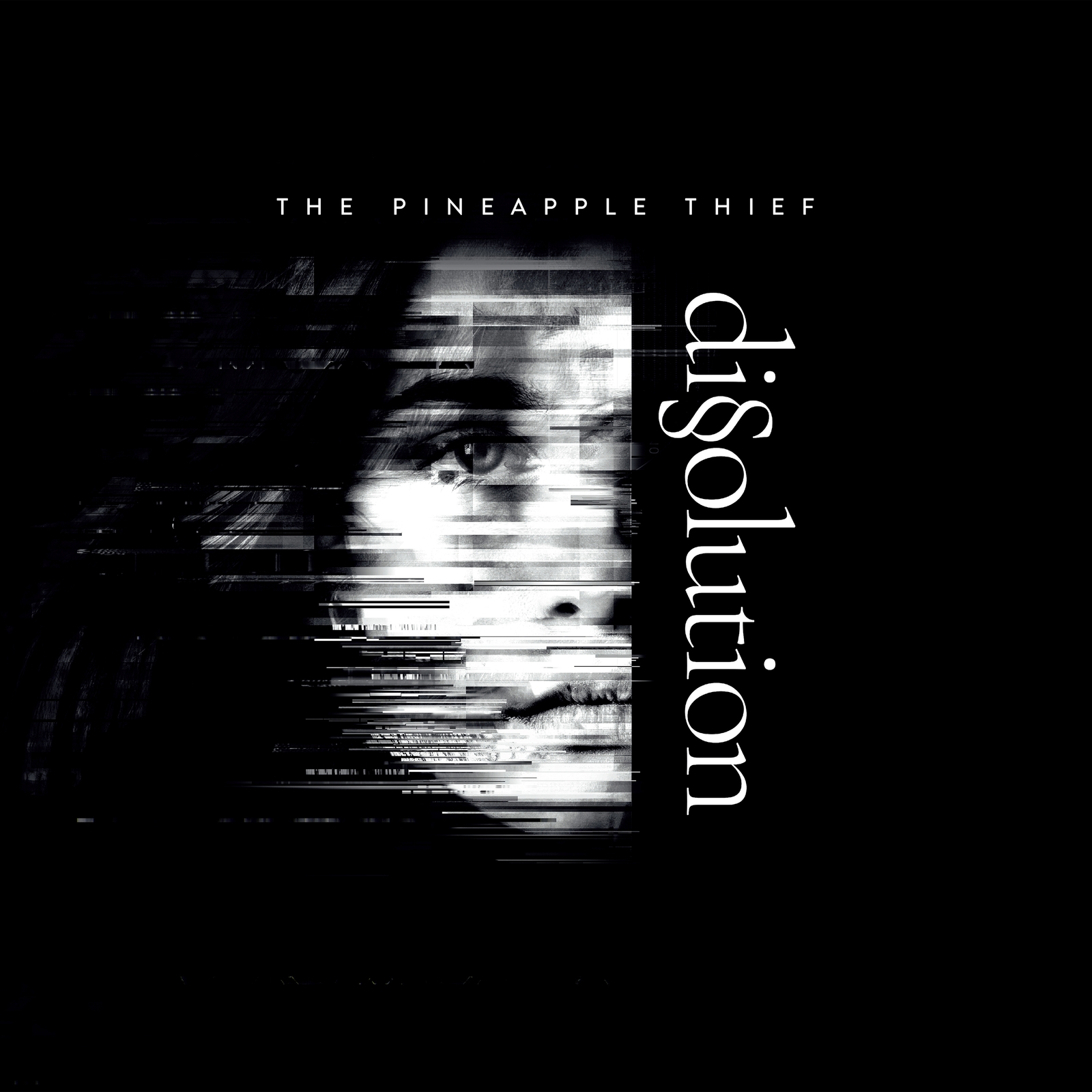 Picture of The Pineapple Thief - Dissolution