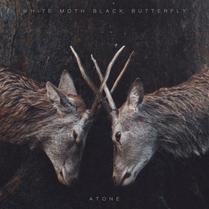 Picture of White Moth Black Butterfly - Atone ( LP )