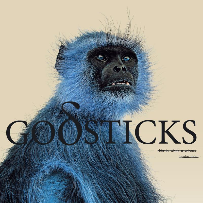 Picture of Godsticks - This Is What A Winner Looks Like
