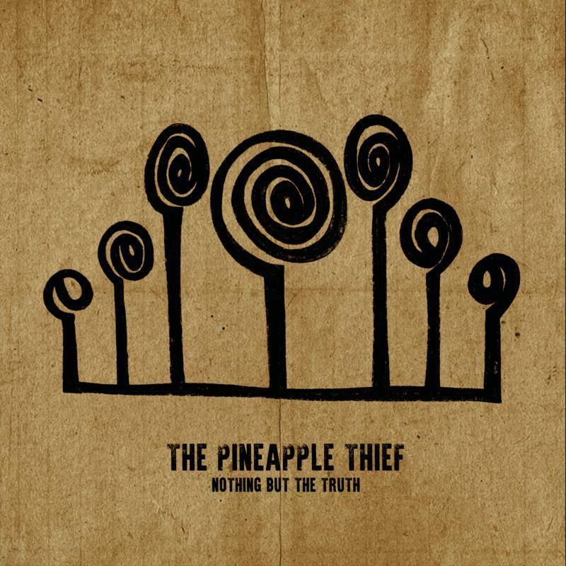 Picture of The Pineapple Thief - Nothing But The Truth (2LP)