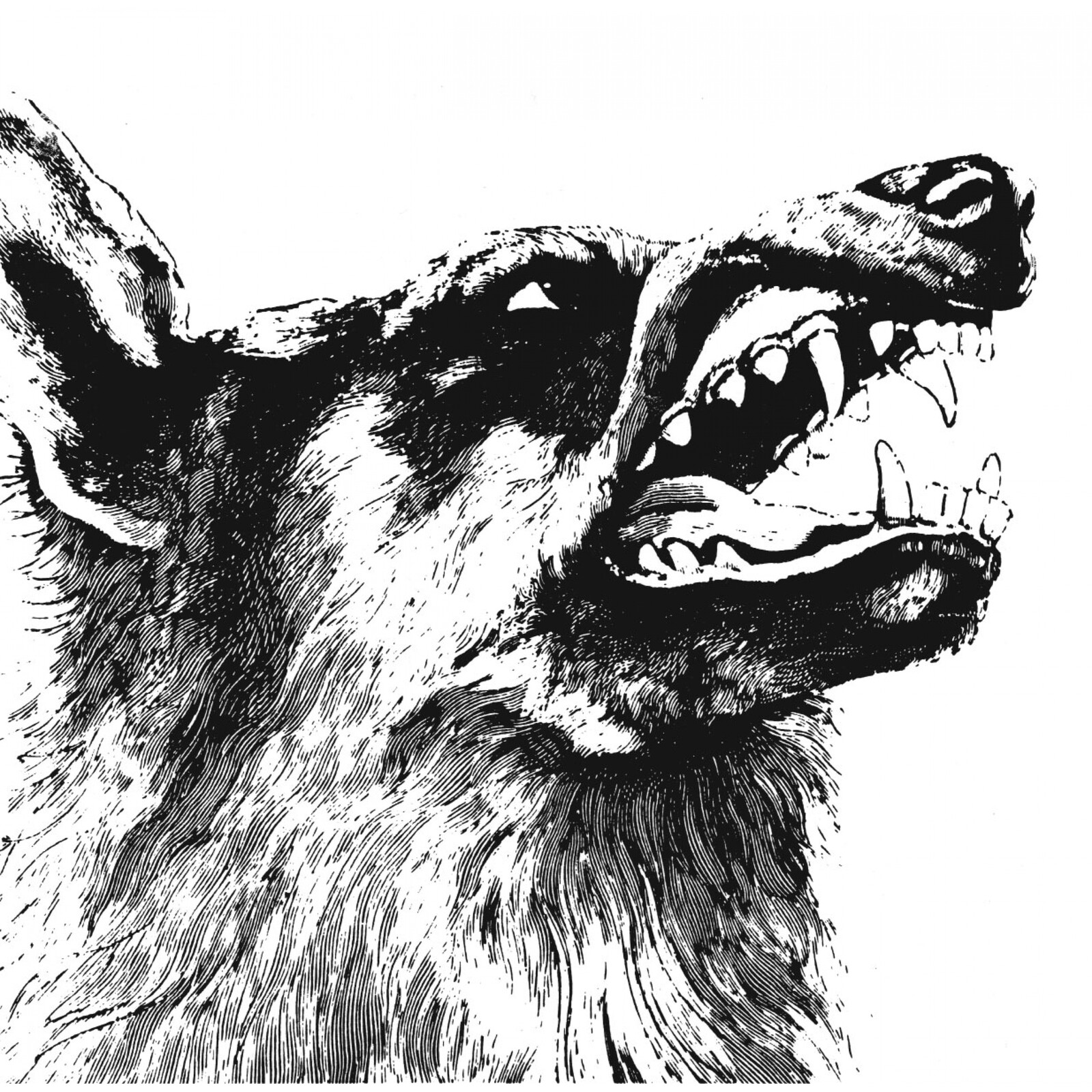 Picture of Crippled Black Phoenix - I, Vigilante