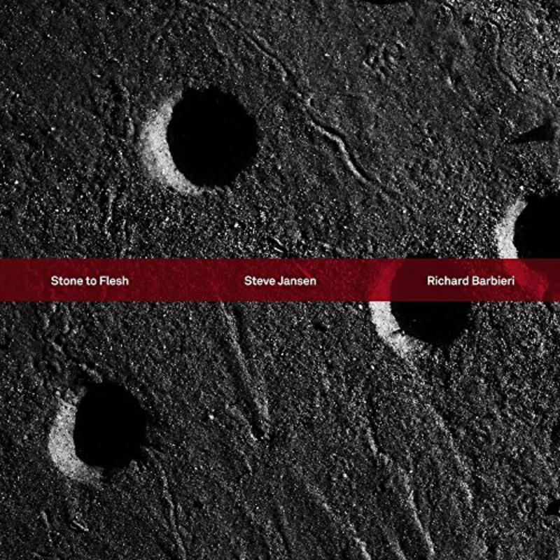 Picture of Steve Jansen Richard Barbieri - Stone To Flesh