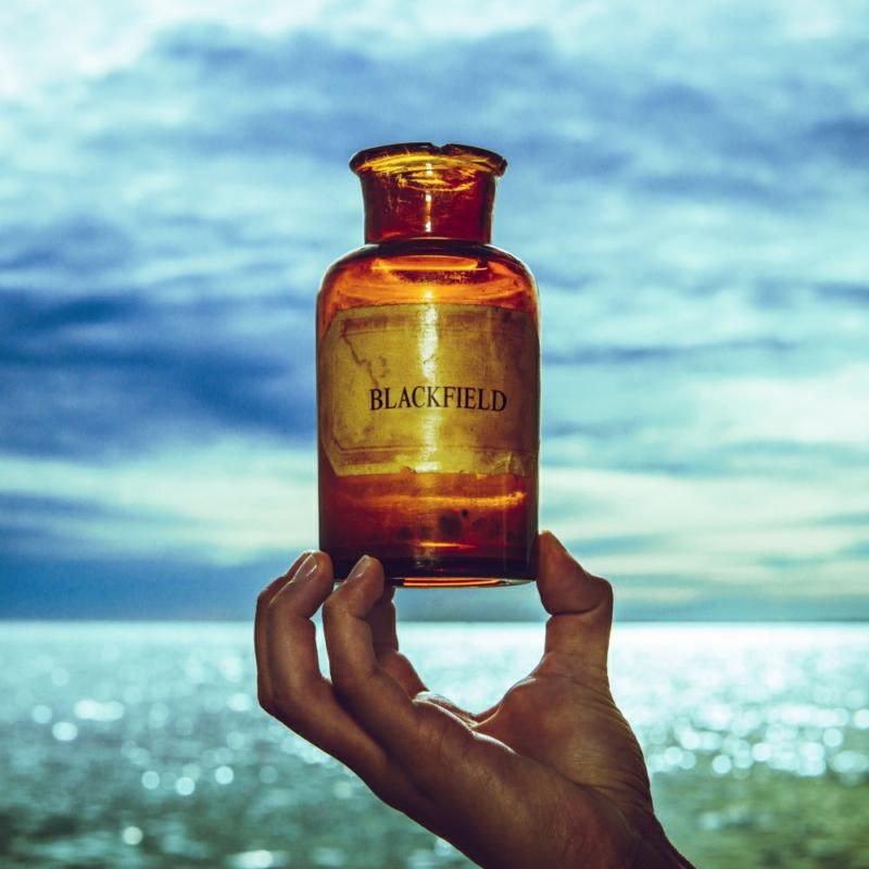 Picture of Blackfield - Blackfield V