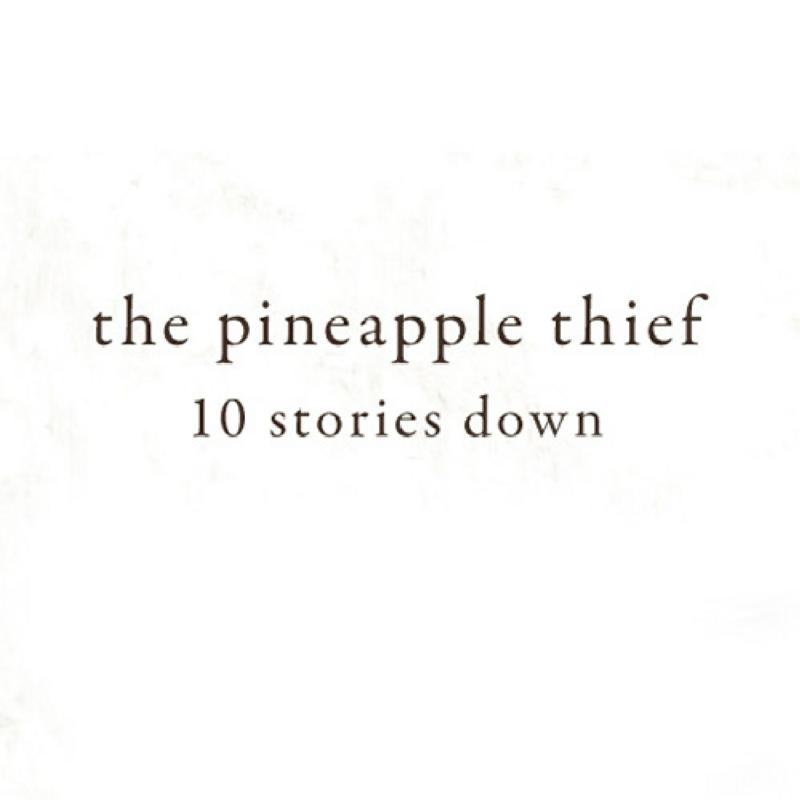 Picture of The Pineapple Thief - 10 Stories Down