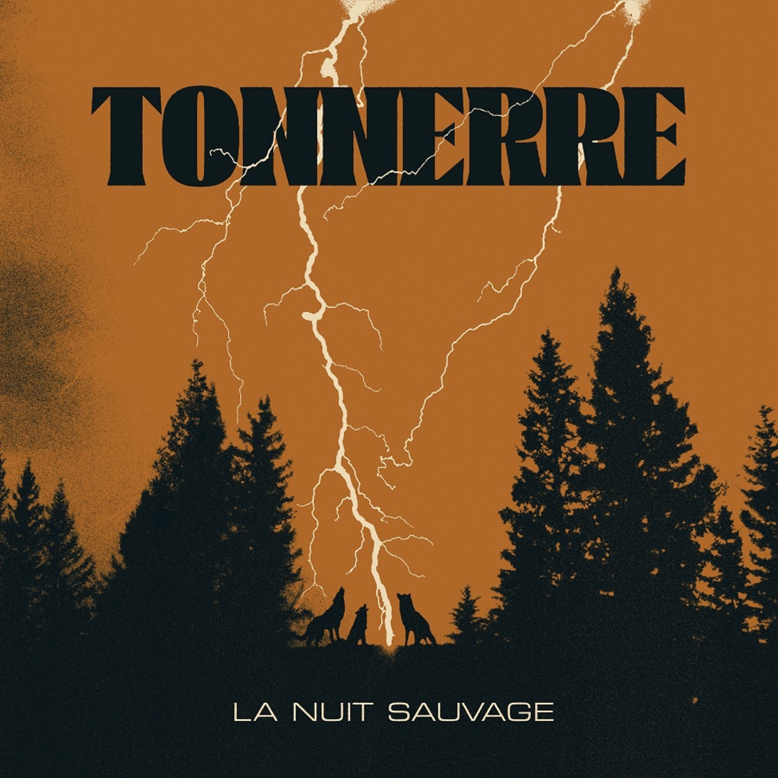 Picture of Tonnere - La Nuit Savage