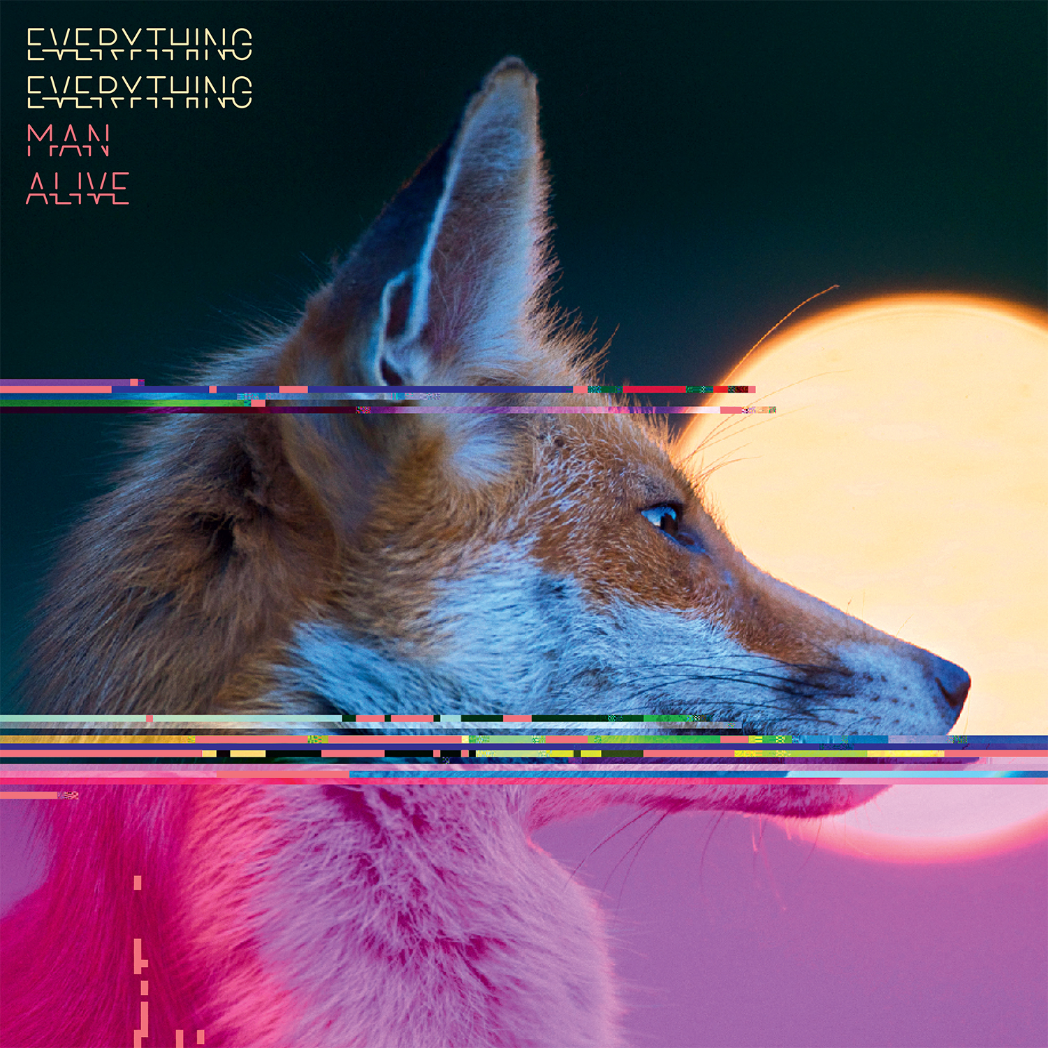 Picture of Everything Everything - Man Alive