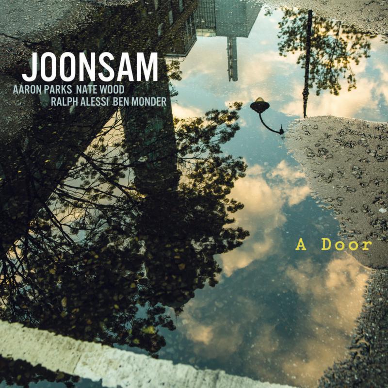 Picture of Joonsam - A Door