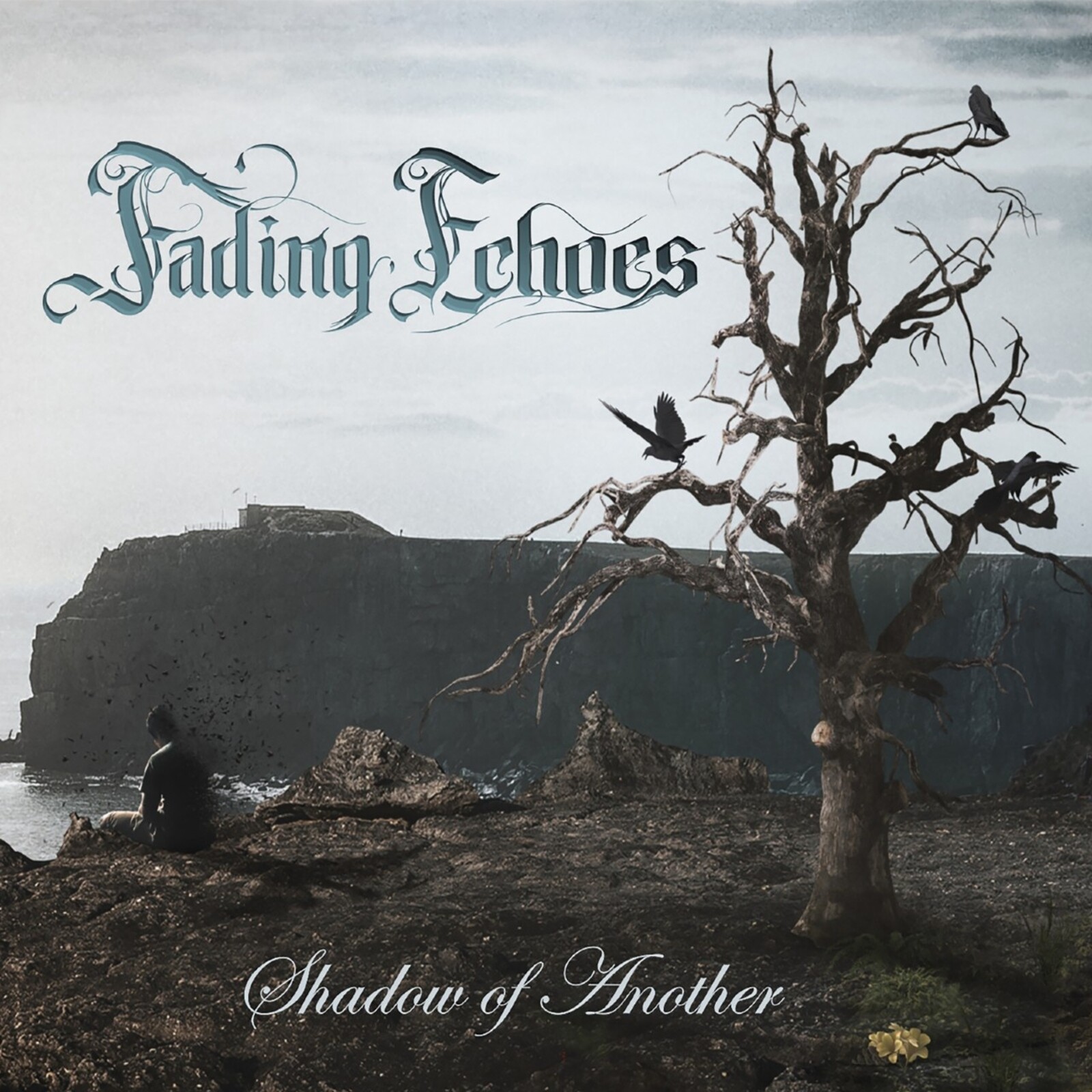 Picture of Fading Echoes - Shadow Of Another