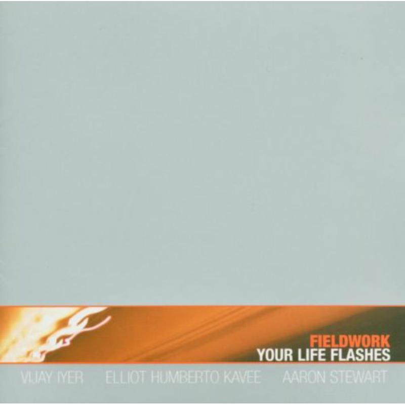 Picture of Fieldwork - Your Life Flashes