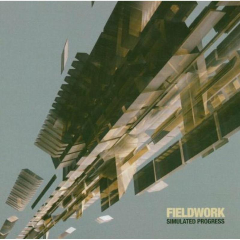 Picture of Fieldwork - Simulated Progress