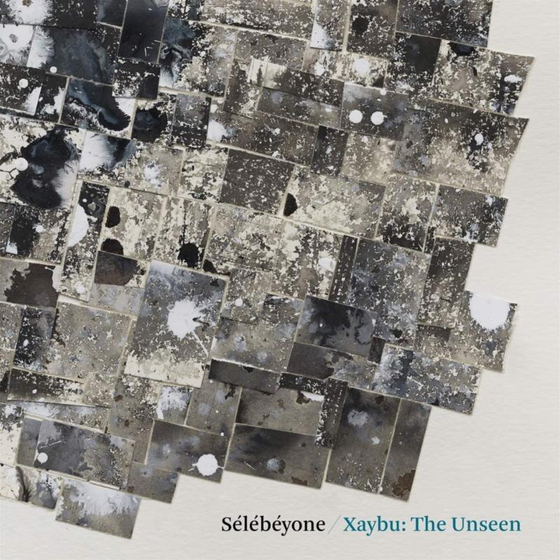 Picture of Steve Lehman & Selebeyone - Xaybu: The Unseen