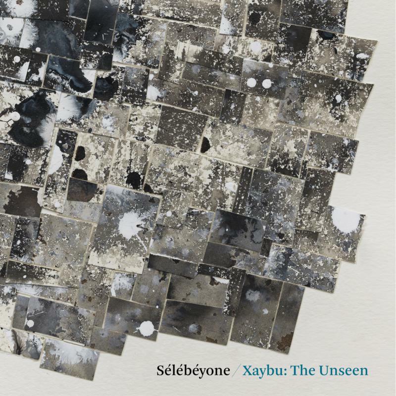 Picture of Steve Lehman & Selebeyone - Xaybu: The Unseen