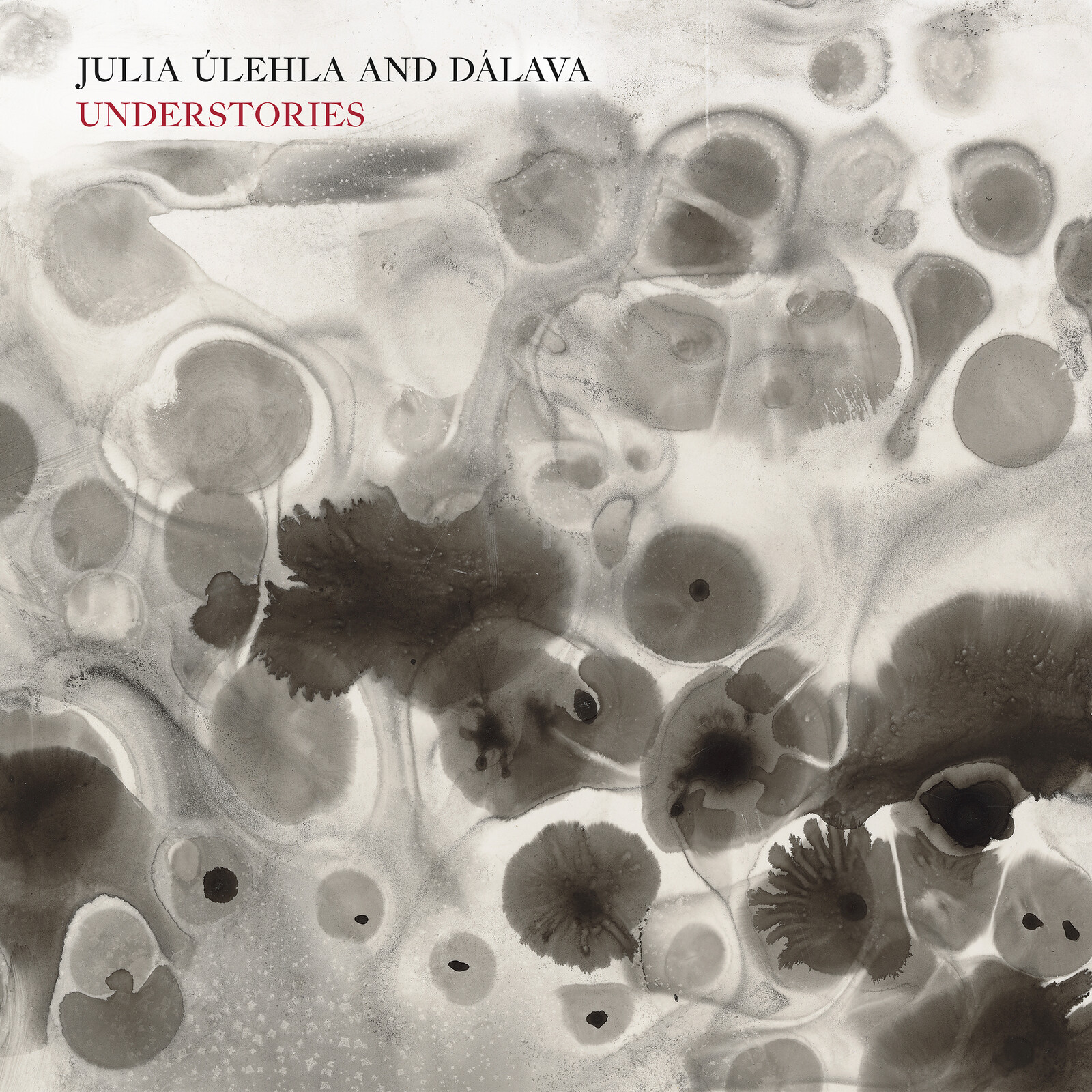 Picture of Julia Ulehla & Dalava - Understories