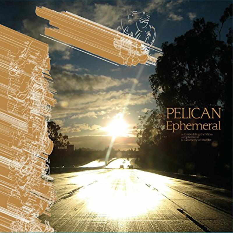 Picture of Pelican - Ephemeral
