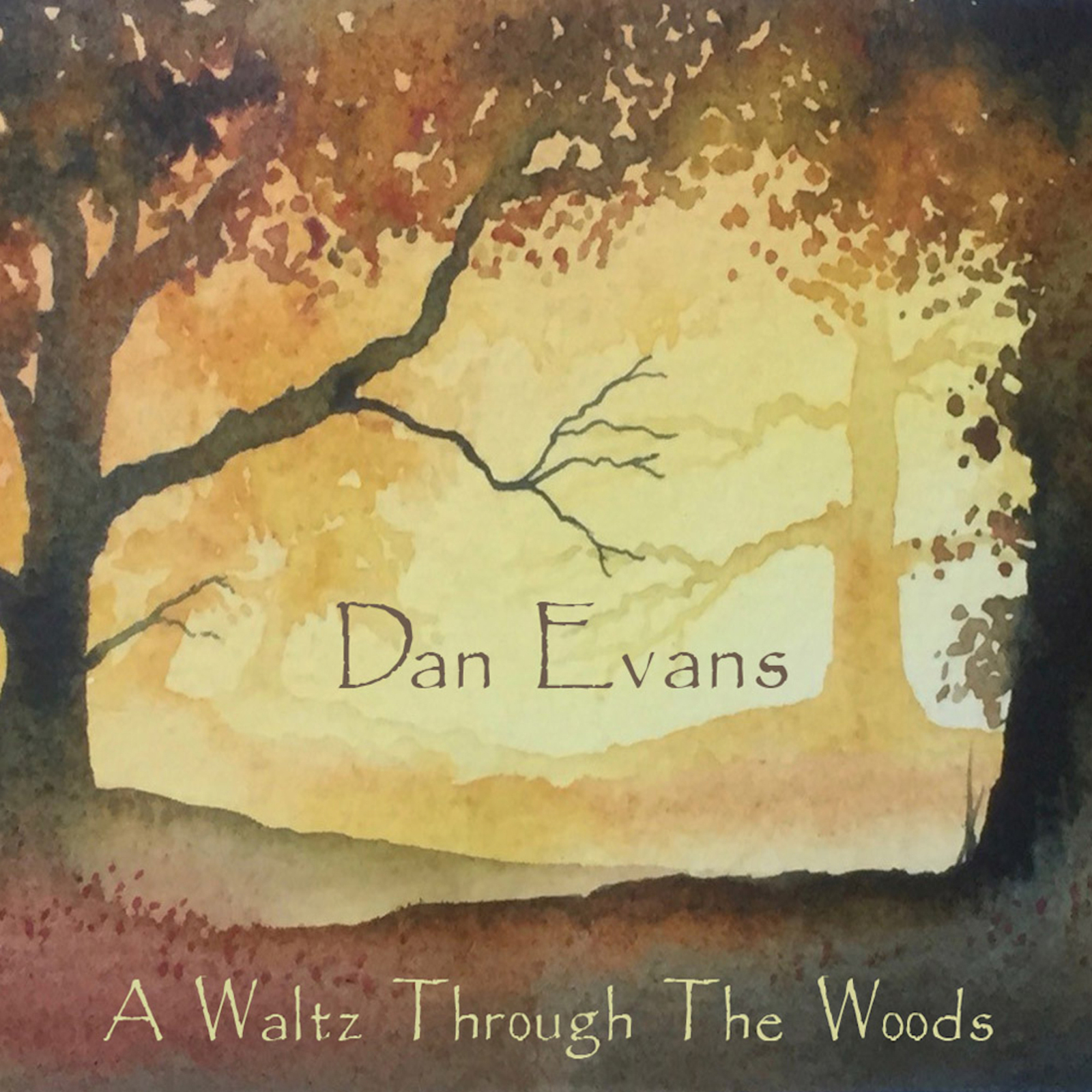Picture of Dan Evans; Rebecca Hallworth; Andy Crowdy; Sharon Sullivan - Dan Evans: A Waltz Through the Woods