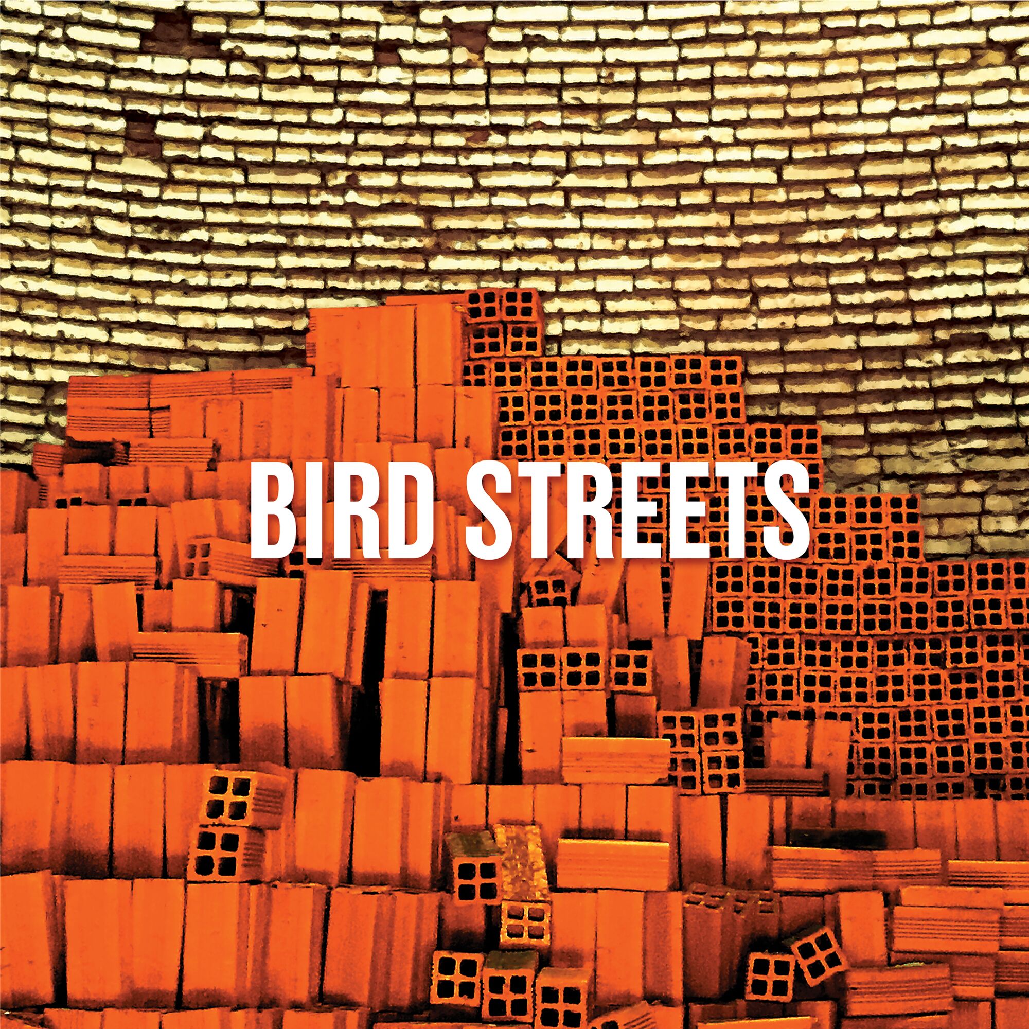 Picture of Bird Streets - Bird Streets