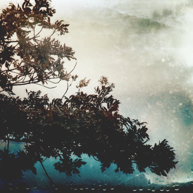 Picture of Swaying Wires - Some Blue Sky