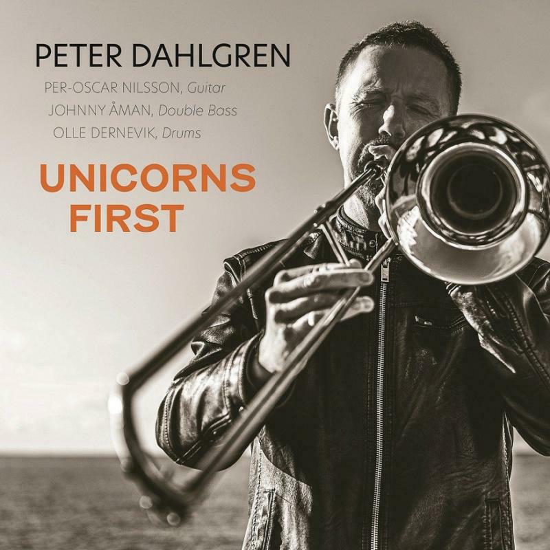 Picture of Peter Dahlgren - Unicorns First