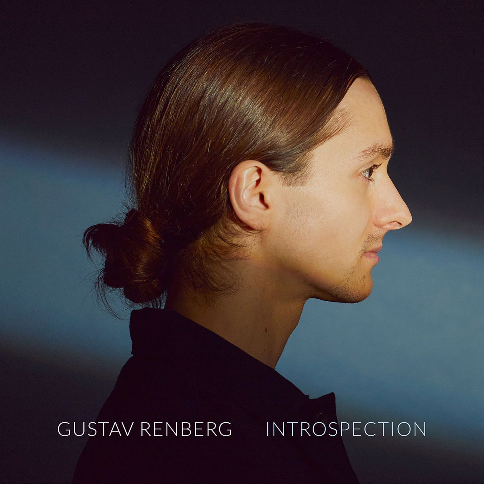 Picture of Gustav Renberg; Britta Virves; Tomas Sjodell; Jonas Backman; Sebastian Mattebo; Ari Bragi Karason - Gustav Renberg: Introspection