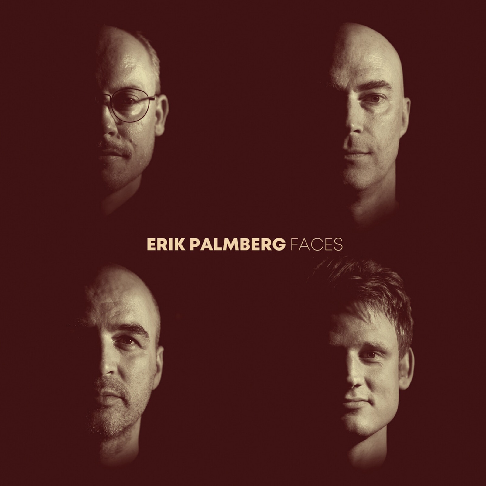 Picture of Erik Palmberg; Anton Dromberg; Niklas Wennstrom; Sebastian Voegler - Erik Palmberg: Faces