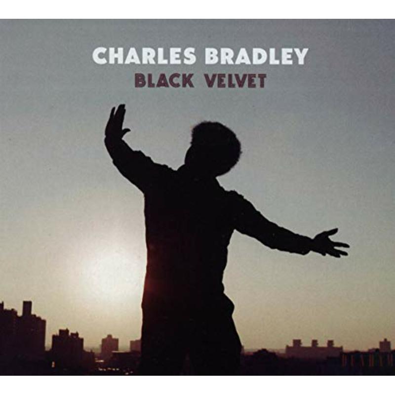 Picture of Charles Bradley - Black Velvet