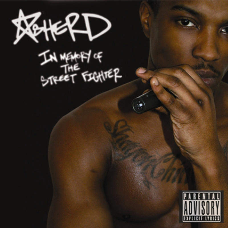 Picture of Asher D - In Memory of the Street Fighter