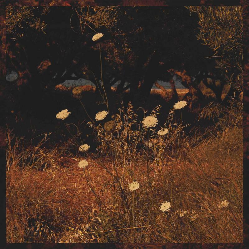 Picture of Szun Waves - Earth Patterns