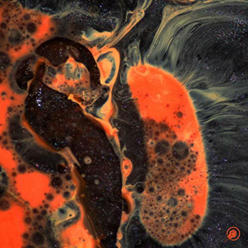 Picture of The Comet Is Coming - Death To The Planet