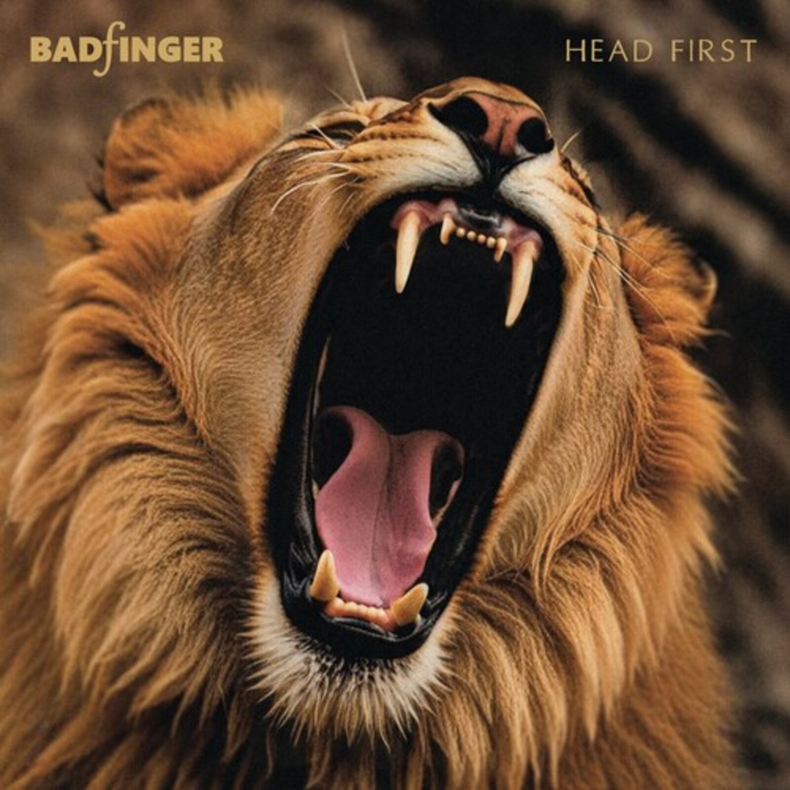 Picture of Badfinger - Head First: 50th Anniversary S