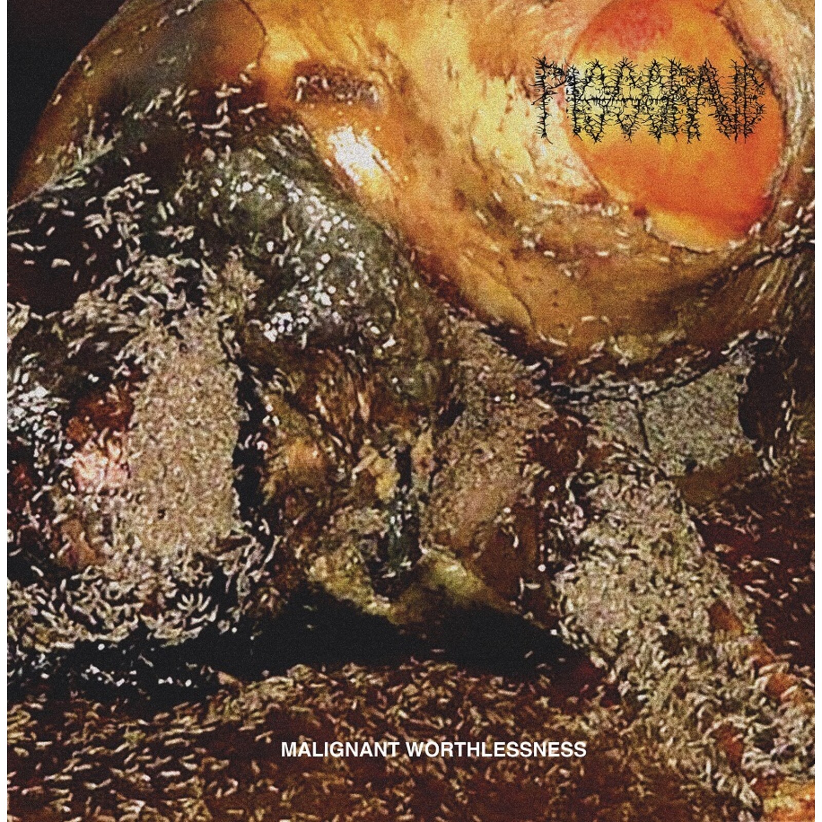 Picture of Pissgrave - Malignant Worthlessness