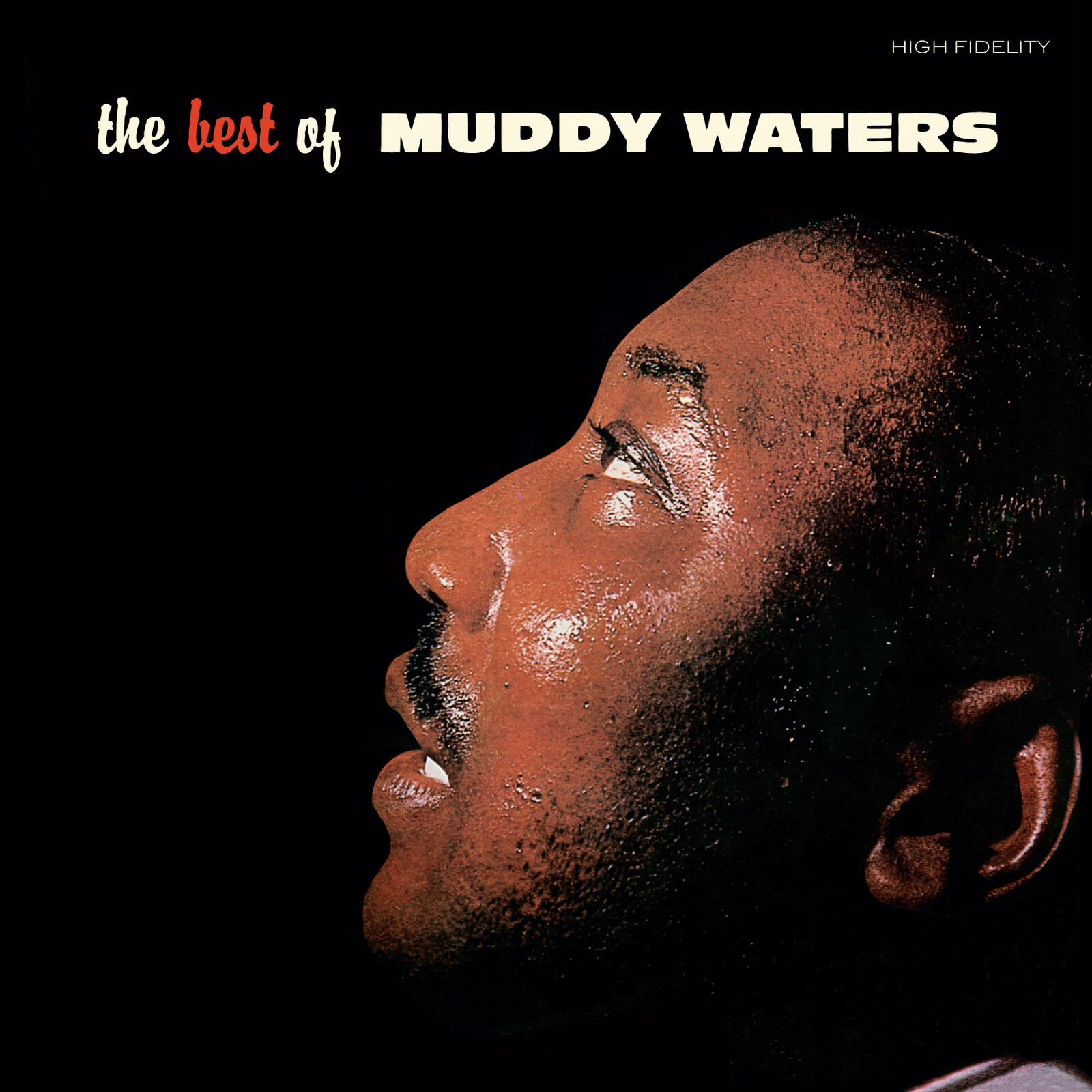 Picture of Muddy Waters - The Best Of Muddy Waters (Crystal Clear Vinyl)