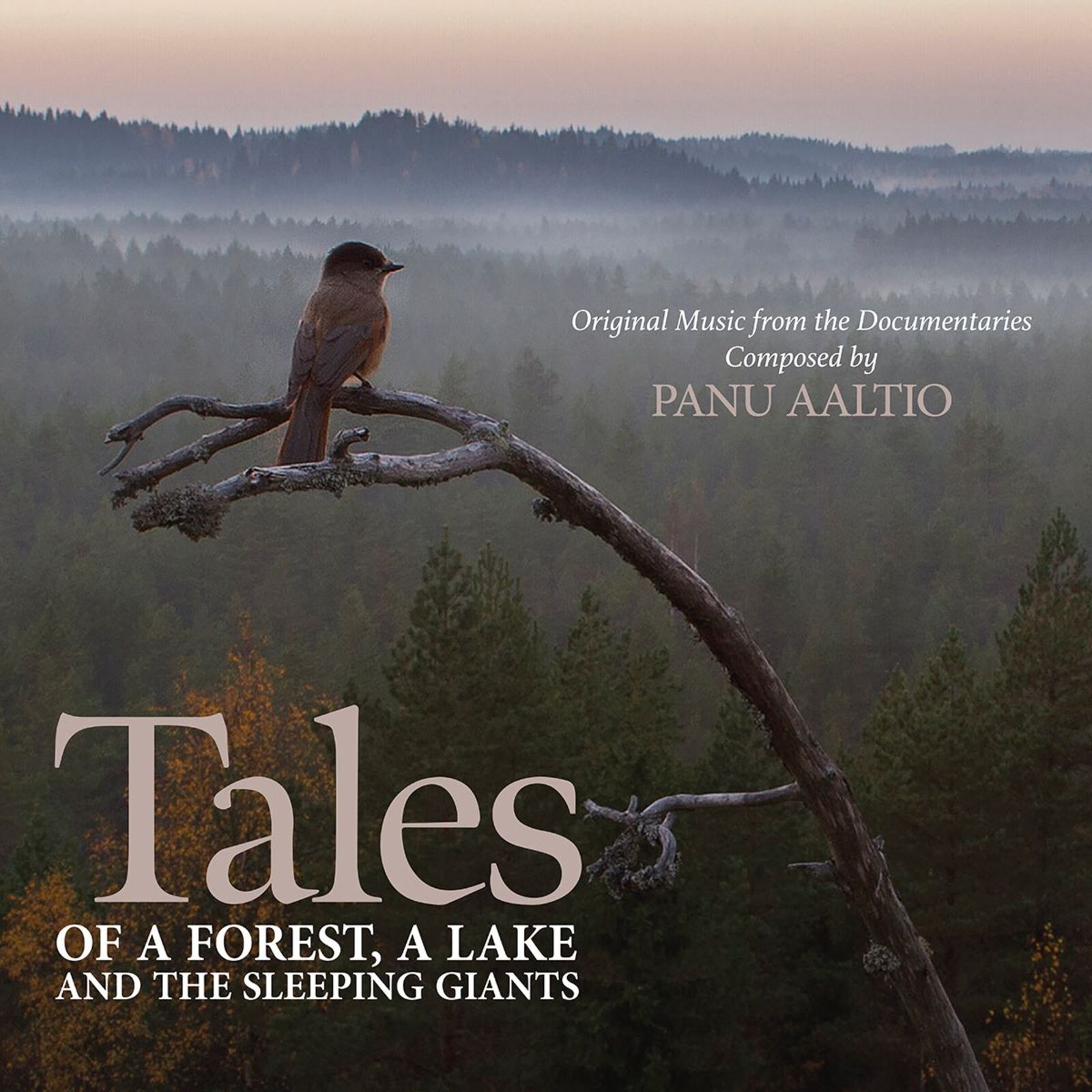 Picture of Panu Aaltio - Tales Of A Forest, A Lake And The Sleeping Giants