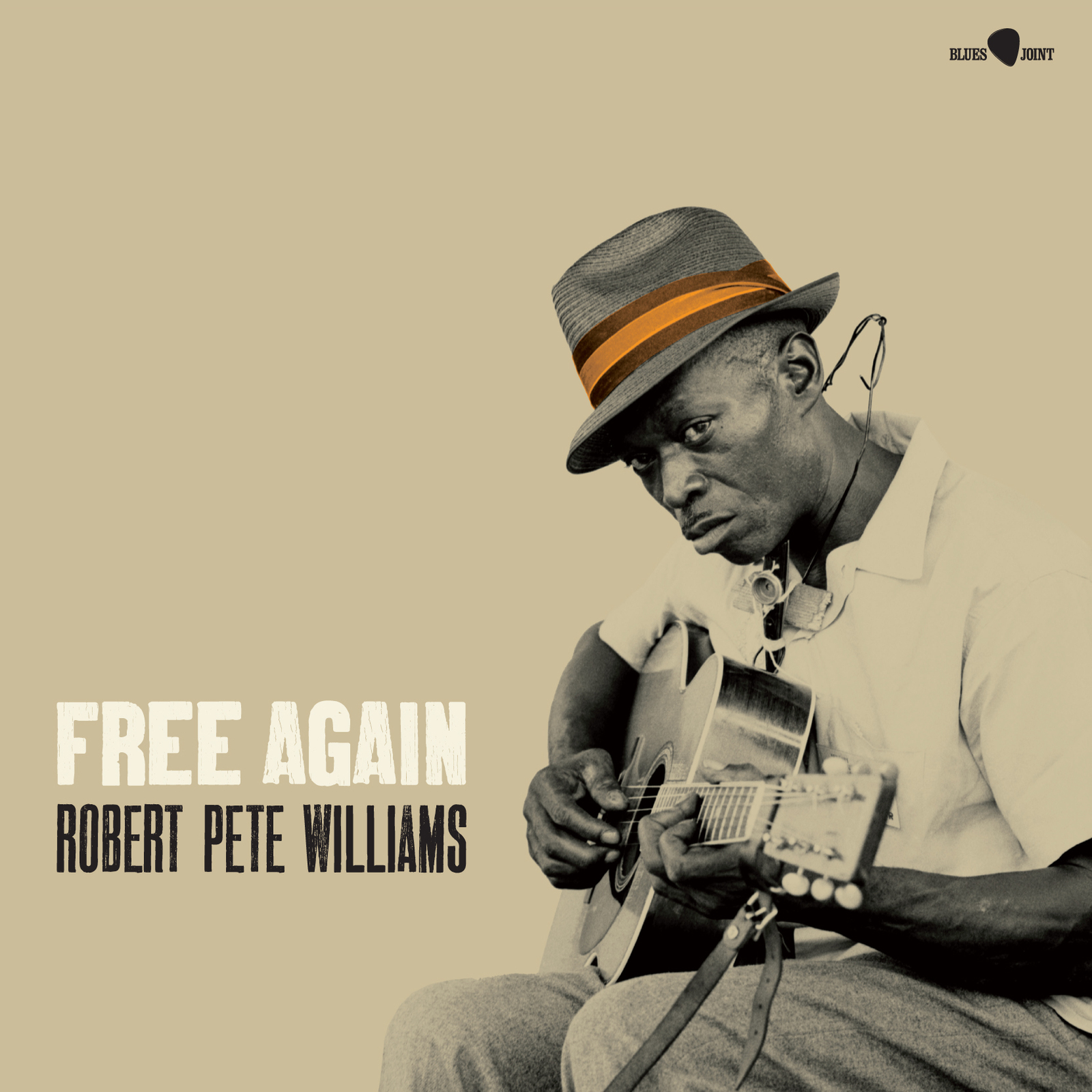 Picture of Robert Pete Williams - Free Again
