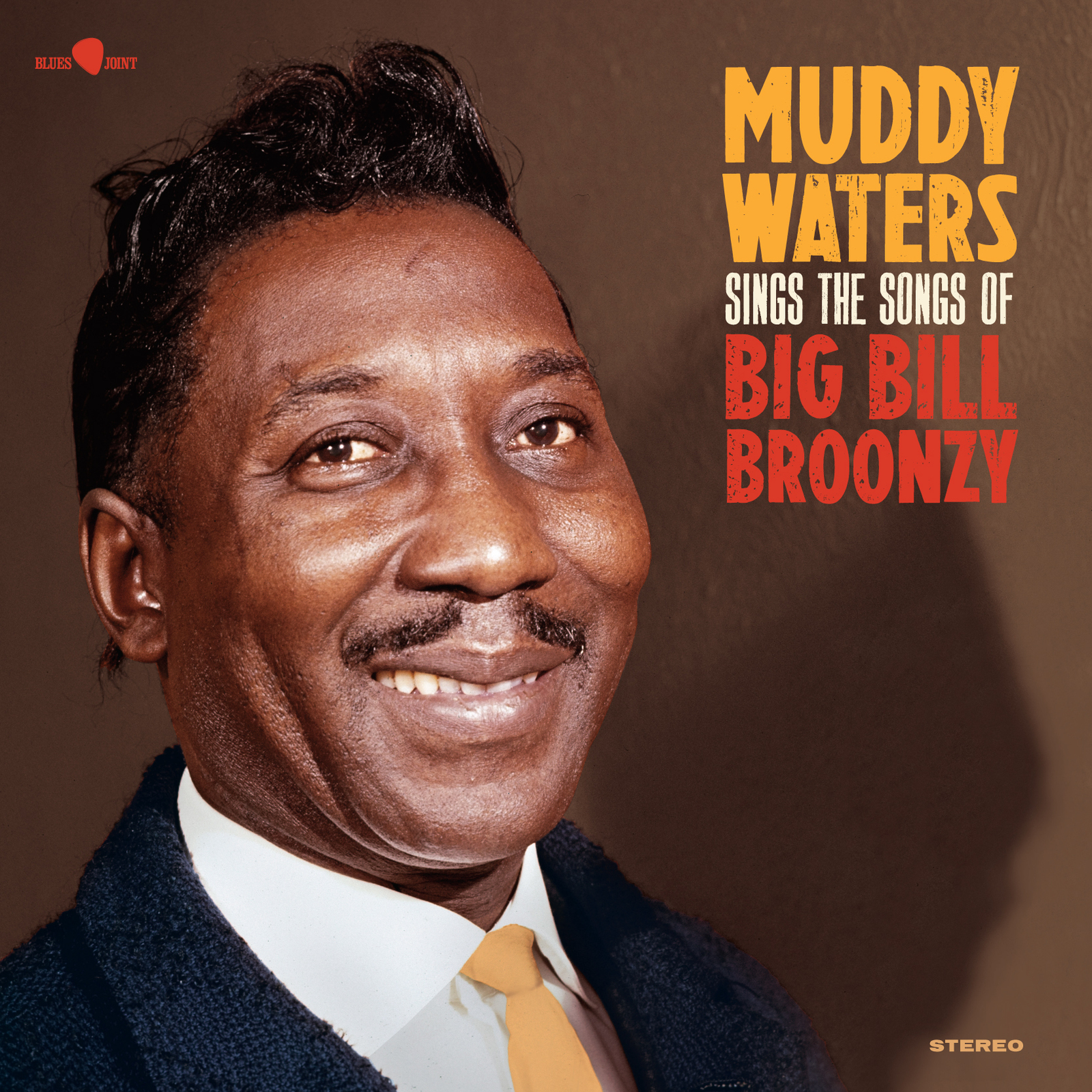 Picture of Muddy Waters - Sings Big Bill