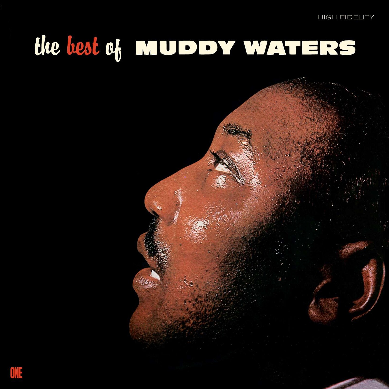 Picture of Muddy Waters - The Best of Muddy Waters