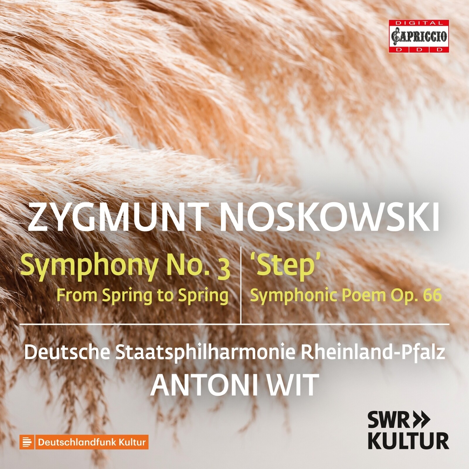 Picture of Deutsche Staatsphilharmonie Rheinland-Pfalz; Antoni Wit - Zygmunt Noskowski: Symphony No. 3 'From Spring to Spring'; Step