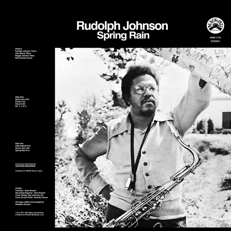 Picture of Rudolph Johnson - Spring Rain
